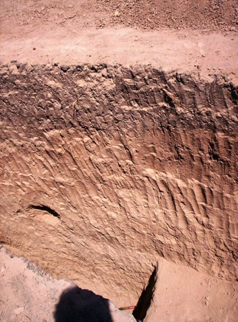 Vista de un corte del suelo en la excavacin donde se encuentra el nuevo  meteorito descubierto.